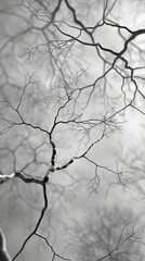 Abstract network of tree branches in grayscale