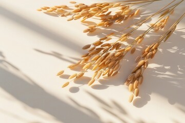 3D brown rice on a white background Showing the shadow of the grain