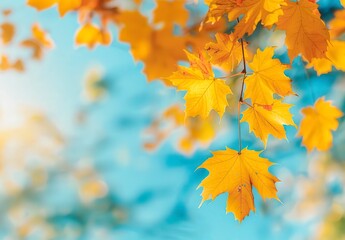 Obraz premium A tree branch with yellow leaves is in front of a blue sky