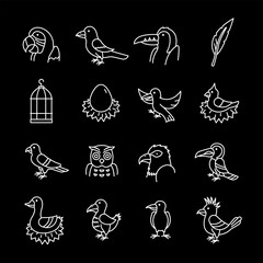 Birds, white line icons. Feathered creatures of various species. Ideal for wildlife and nature themes. Symbols on black background. Editable stroke.