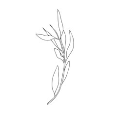 Vector hand drawn minimalist botanical art. Leaves outline drawing.