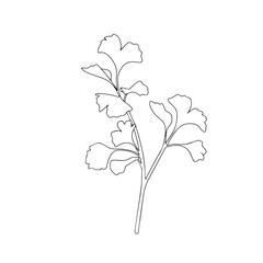Vector hand drawn minimalist botanical art. Leaves outline drawing.