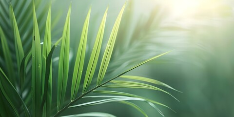 Palm Sunday symbolizes Jesus sacrifice and resurrection in Christian tradition. Concept Christianity, Palm Sunday, Sacrifice, Resurrection, Jesus