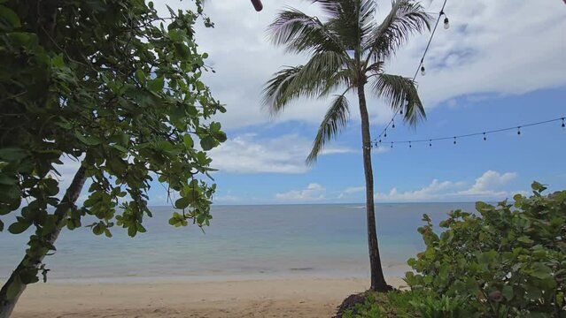Las Terrenas beach located in the peninsula of Samana, on the North Coast of the Dominican Republic. The region is known as the green lungs of the Caribbeans