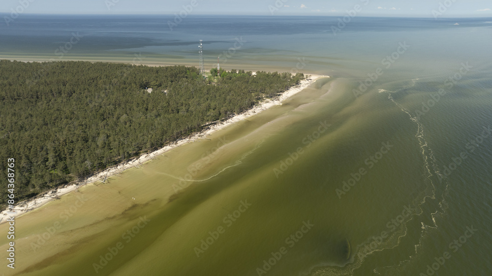 Sticker  A bird's-eye perspective of a sizable water body with a sandy shore in the foreground and a backdrop of trees