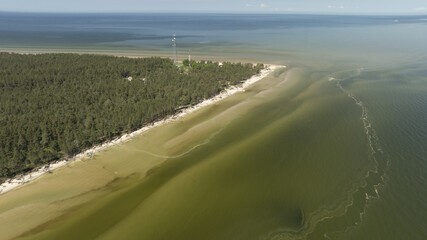  A bird's-eye perspective of a sizable water body with a sandy shore in the foreground and a backdrop of trees