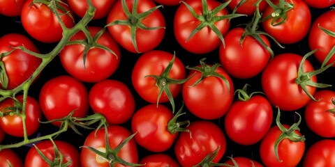 Pile of plum tomatoes, san marzano tomatoes washed to be canned during the height of the summer tomato season