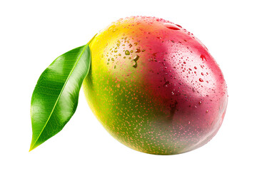 Ripe mango with green leaves and water drops isolated on white transparent background, colorful, organic, exotic, and delicious.