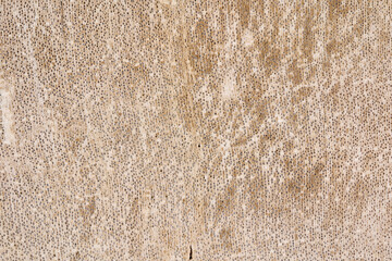 天然石で作られたプレートのクローズアップ