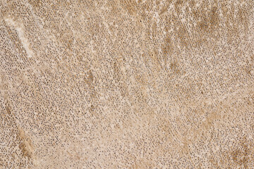 天然石で作られたプレートのクローズアップ