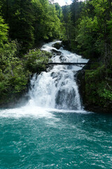 Fototapeta premium Wasserfall Griessbach