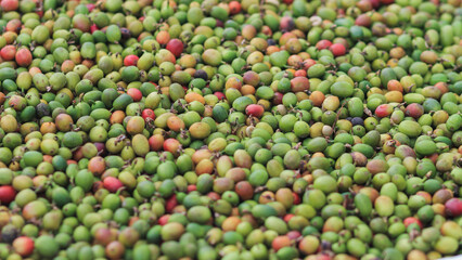 Farmers harvest coffee beans and dry them in the sun to reduce moisture in the coffee beans and wait for sorting to enter the coffee roasting process to meet the required standards before exporting.