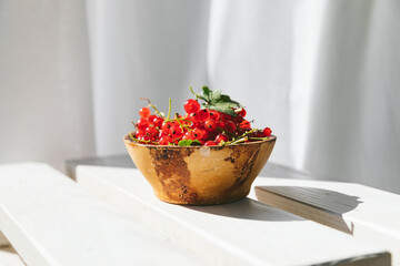 Red currants in clay bowl on white background. Ripe red berries look expressively on the background of white tree and white fabric.