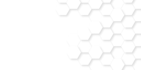 Vector White Hexagonal Background. Luxury White Pattern. Vector Illustration. 3D Futuristic abstract honeycomb mosaic white background. geometric mesh cell texture. modern futuristic wallpaper.