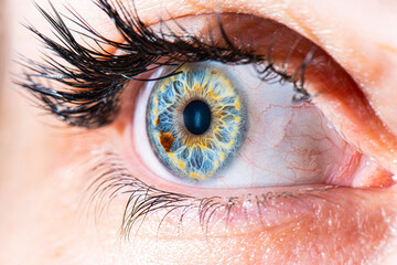 detailed macro picture of blue eye