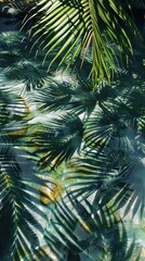 Palm leaves casting shadows on water, tranquil nature scene