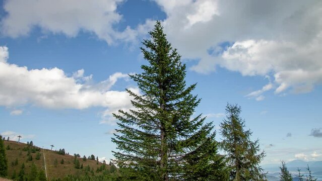 Timelapse moving left to right of a cloudy sky in the mountains with pines in summer