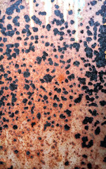 Rust spread on white metals plate texture.Black spots of corrosive grunge rusted on old iron.The pattern of grunged rust on wall use as illustration .Rusty corrosion and oxidized background.Vertical.