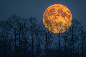 Naklejka premium Stunning Full Moon Over a Forest Silhouette