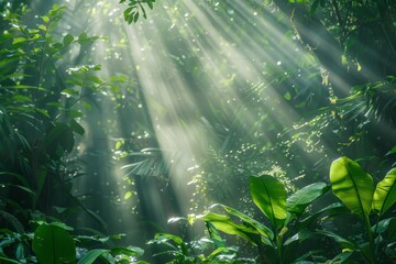 Mysterious Sunlight Penetrating Dense Jungle