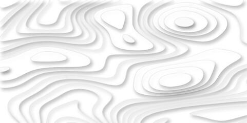 Topographic map of geology and contour map geometric lines, Modern white carve wave line abstract luxury 3d papercut background, Topographic canyon geometric map relief texture with curved layers.