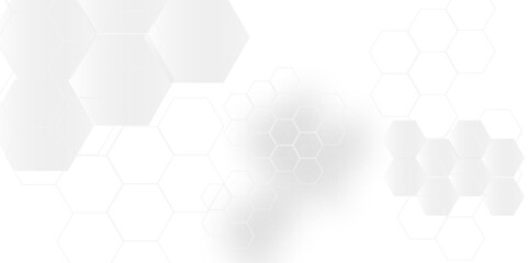Vector White Hexagonal Background. Luxury White Pattern. Vector Illustration. 3D Futuristic abstract honeycomb mosaic white background. geometric mesh cell texture. modern futuristic wallpaper.