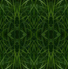 green grass texture background