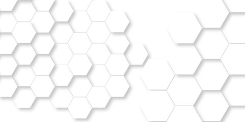Vector White Hexagonal Background. Luxury White Pattern. Vector Illustration. 3D Futuristic abstract honeycomb mosaic white background. geometric mesh cell texture. modern futuristic wallpaper.