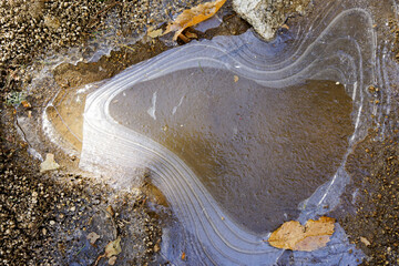 Formas agua helada en naturaleza con hojas