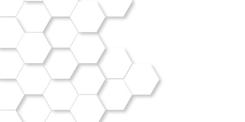 Vector White Hexagonal Background. Luxury White Pattern. Vector Illustration. 3D Futuristic abstract honeycomb mosaic white background. geometric mesh cell texture. modern futuristic wallpaper.