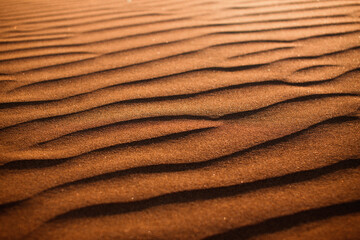 Desert background: Sand dunes in the rays of sunset light