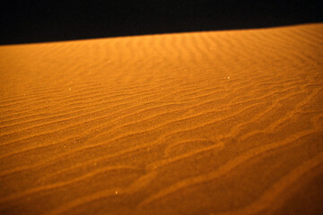 Desert background: Sand dunes in the rays of sunset light