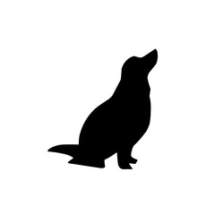 Animal silhouette Vector illustration, diverse wildlife collection