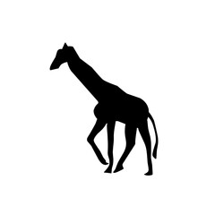 Animal silhouette Vector illustration, diverse wildlife collection