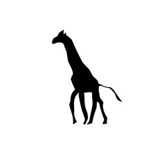 Animal silhouette Vector illustration, diverse wildlife collection