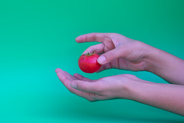 Young female hands hold red ripe tomato cherry as metaphor and concept of buying vegetables in supermarket and delivery.Healthy lifestyle.