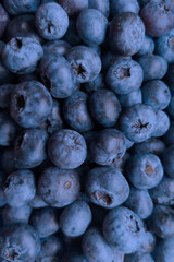 Many a lot of ripe juicy mature blueberries as superfood pattern.Healthy sweet food eating.Vertical format
