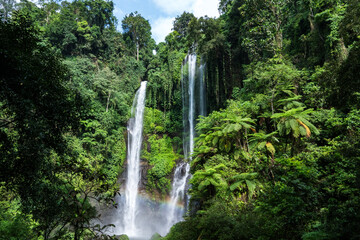 Naklejka premium A stunning view of Sekumpul Waterfall with a rainbow forming at its base, surrounded by dense green foliage in Bali.