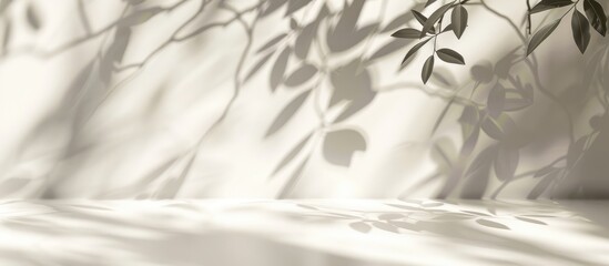 Light background with blurred foliage shadow on a white wall for a simple and elegant presentation setting.