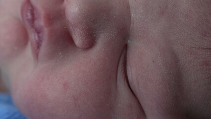 Fototapeta premium Peaceful sleep of a newborn in the hospital, highlighting the innocence and serenity of a new life in a calm and nurturing environment, macro close-up