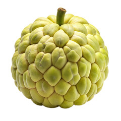 Fototapeta premium custard apple on a transparent background