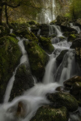 Obraz premium Detail of the waterfalls at the source of the Ason River in Cantabria, between rocks covered with moss inside a beech forest