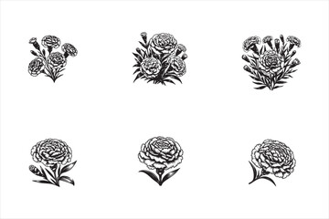 Carnation flower outline vector image set