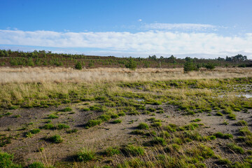 View over heathland and grassland