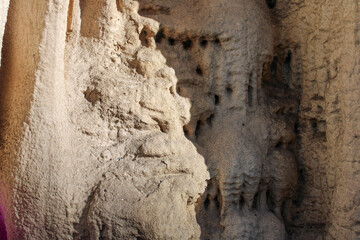 Background texture: stalactites and stalagmites in the cave. Close-up.