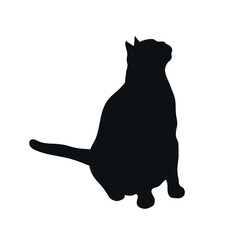 Sitting cat silhouette isolated on white background. Cat looks up. Feline shadow. Vector illustration