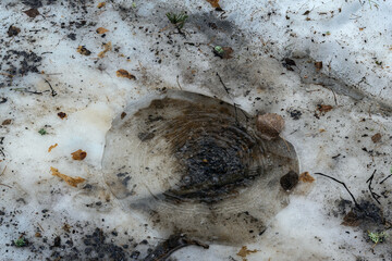 Round puddle on an ice-covered surface.