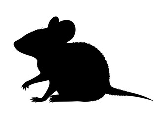 rat silhouette