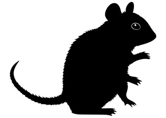 Obraz premium rat silhouette