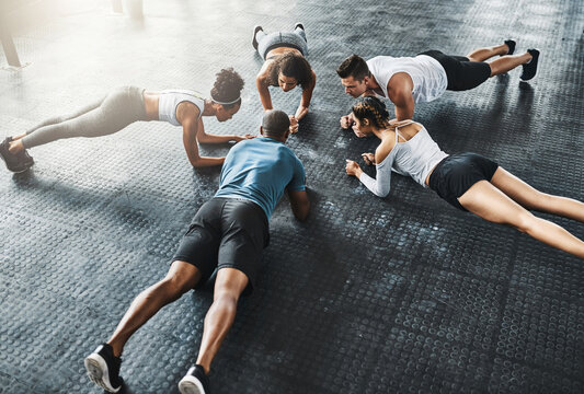 People, training and plank in group at gym for workout, core exercise or fitness together indoors. Diverse class, friends and warm up for ab muscle, session and sport for health on gymnasium floor